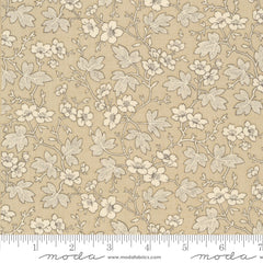 Rouenneries Trois Oyster 13964 16