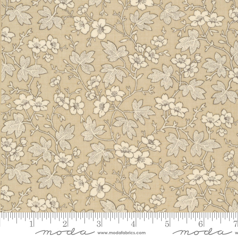 Rouenneries Trois Oyster 13964 16