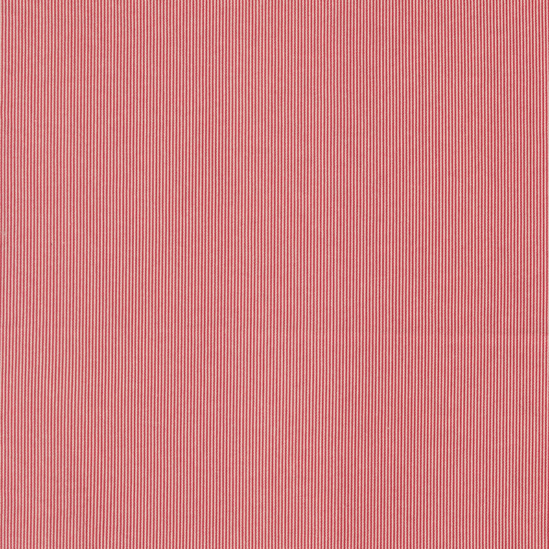 Joie De Vivre - Tiny Stripe Rouge
