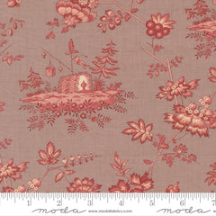Fleur de Paris - Jardinage Florals - Lavender