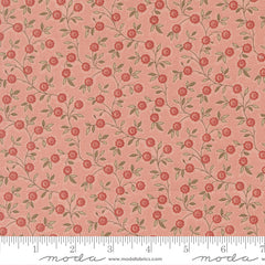 Fleur de Paris - Topiare Floral Vines - Pale Rose