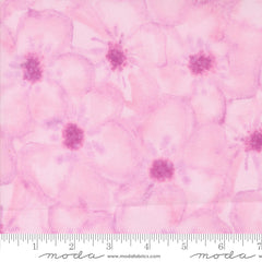 Blooming Lovely - Anemones Lilac