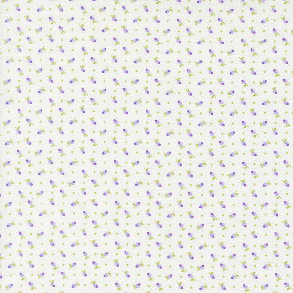 Georgia - Tiny Buds - Soft White