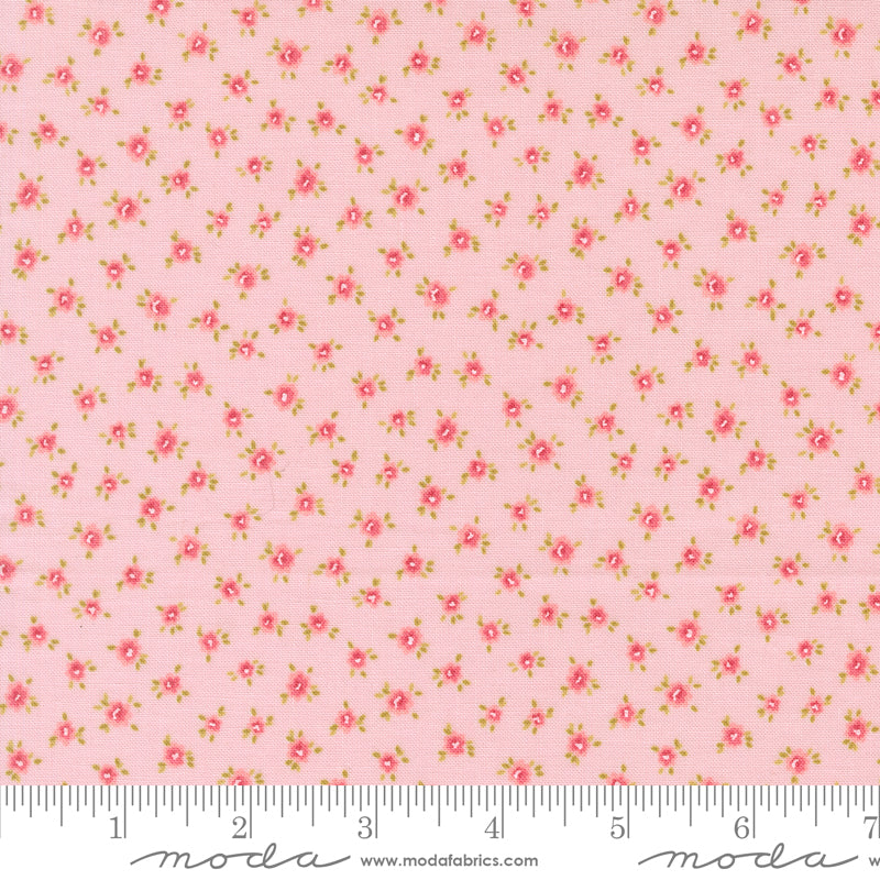 Memory Lane - Little Posies - Blush