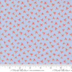 Memory Lane - Little Posies - Sky