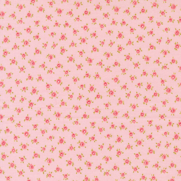 Memory Lane - Little Posies - Blush