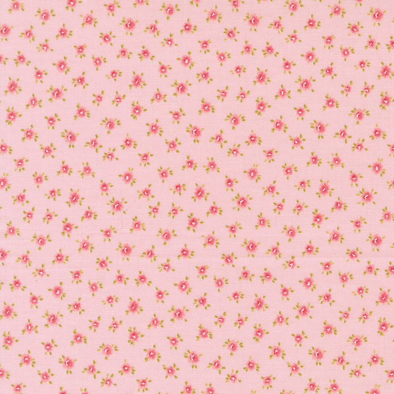 Memory Lane - Little Posies - Blush