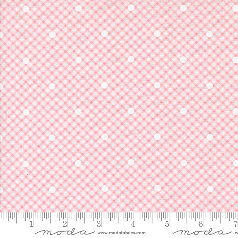 Memory Lane - Gingham and Dots - Petal