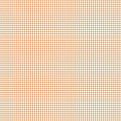 Little Ones - Gingham in Coral