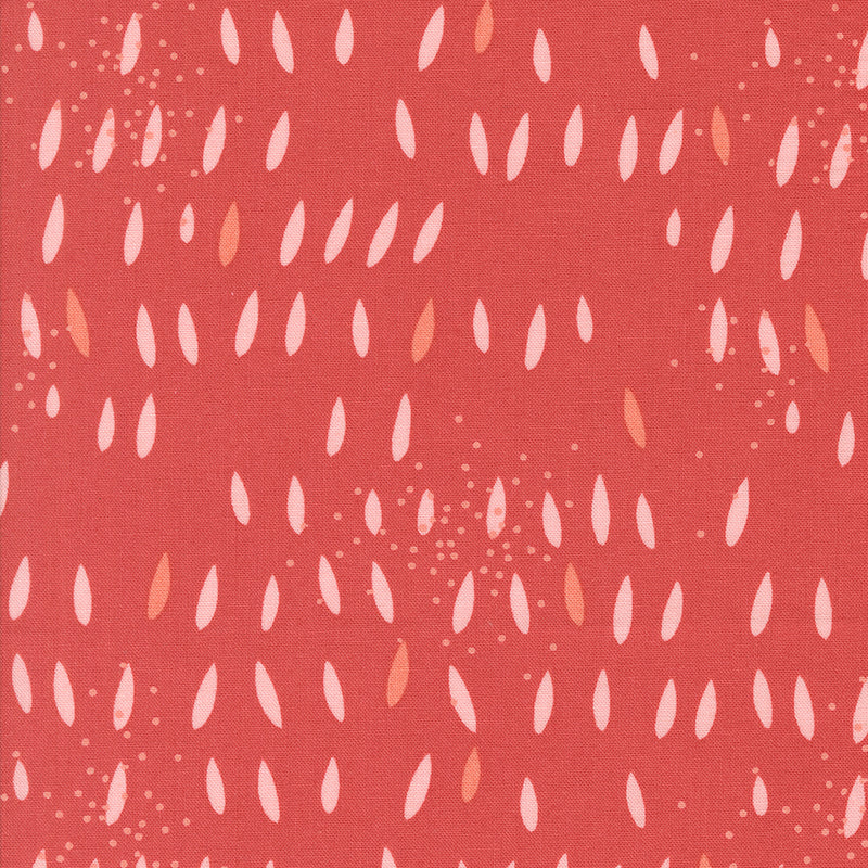 Simply Cozy - Seeds Persimmon