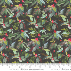 Love & Cheer - Foliage Evergreen