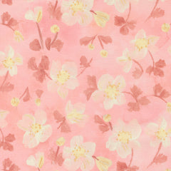 Sweet Cecily - Anemone Rose