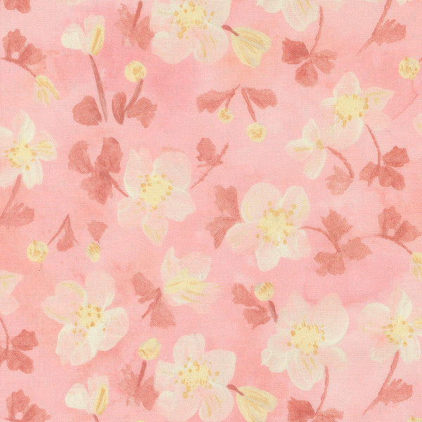 Sweet Cecily - Anemone Rose