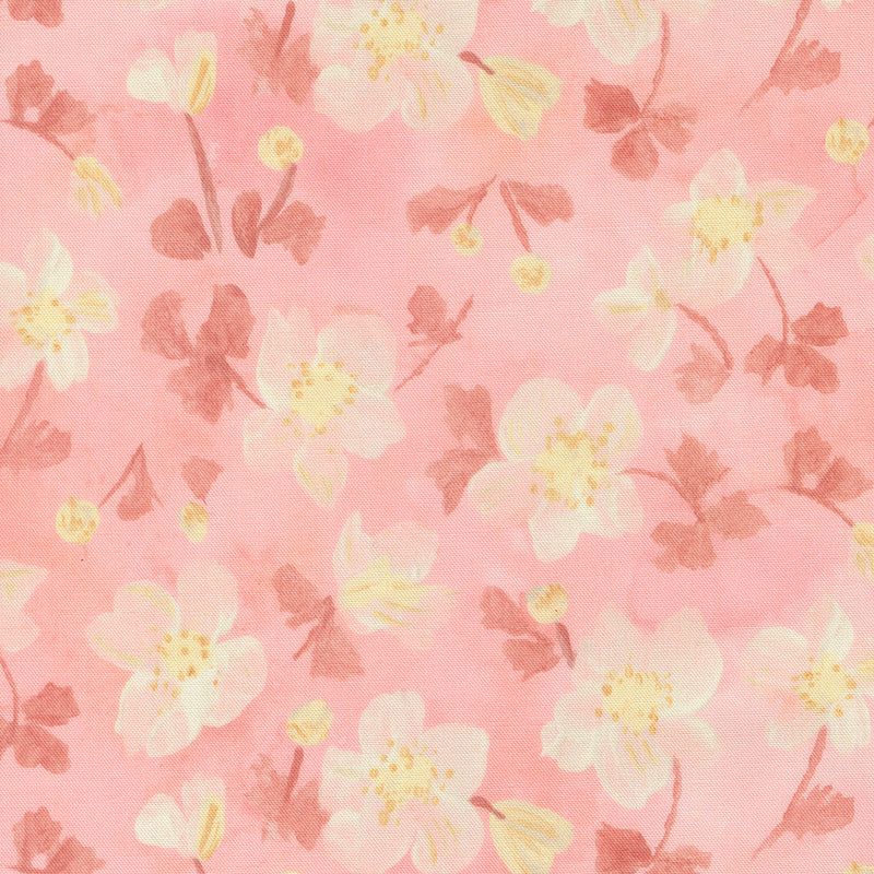 Sweet Cecily - Anemone Rose