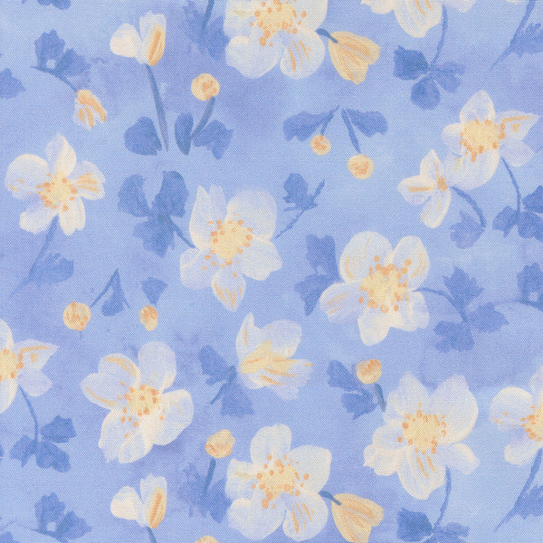 Sweet Cecily - Anemone Hyacinth