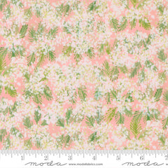 Sweet Cecily - Queen Anne Rose