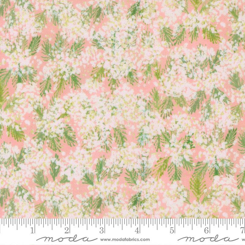 Sweet Cecily - Queen Anne Rose