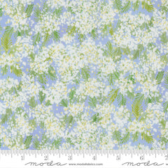 Sweet Cecily - Queen Anne Hyacinth