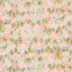 Sweet Cecily - Queen Anne Rose