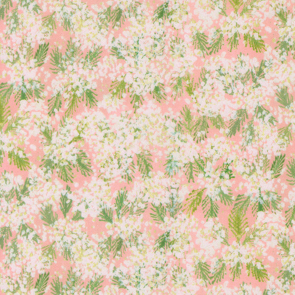 Sweet Cecily - Queen Anne Rose