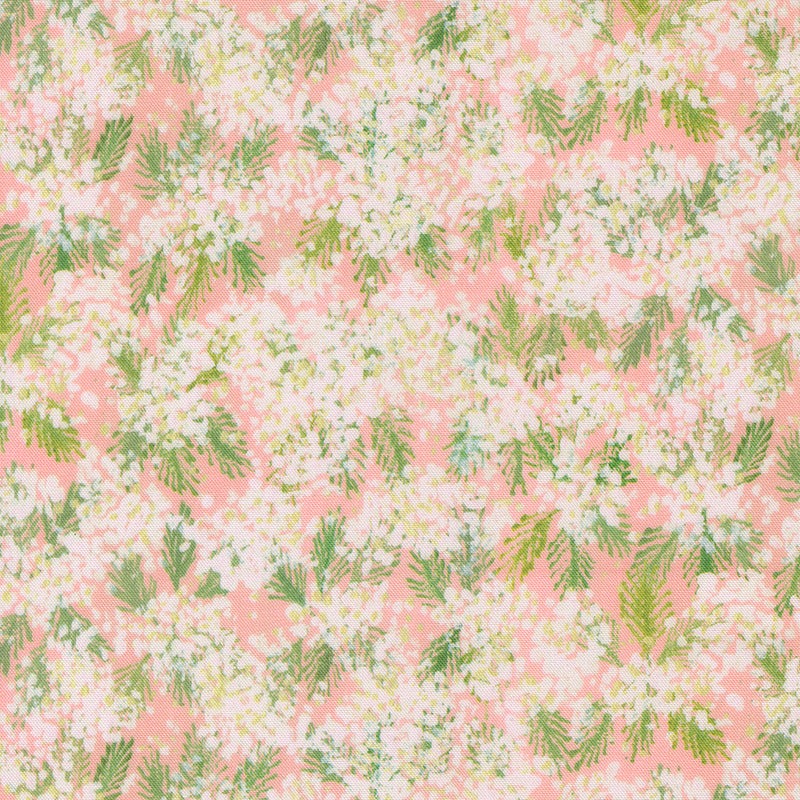 Sweet Cecily - Queen Anne Rose