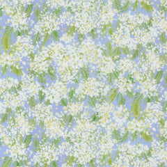 Sweet Cecily - Queen Anne Hyacinth