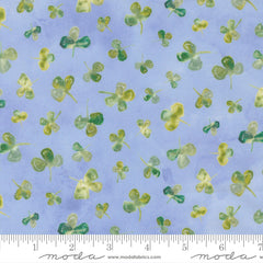 Sweet Cecily - Clover Hyacinth