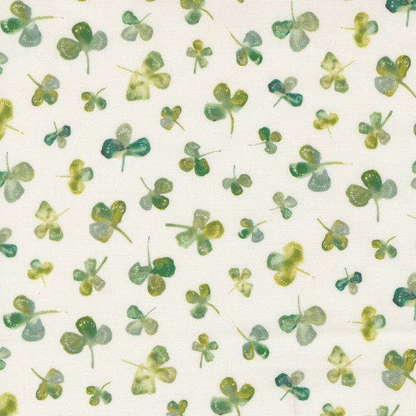 Sweet Cecily - Clover Lily