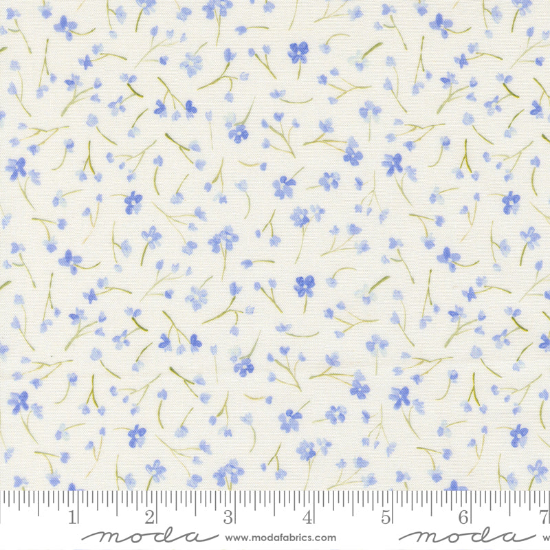 Sweet Cecily - Forget Me Not Hyacinth