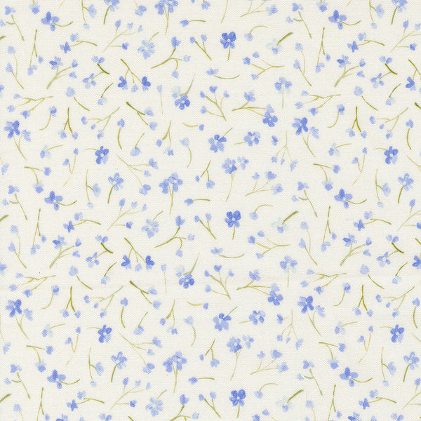 Sweet Cecily - Forget Me Not Hyacinth