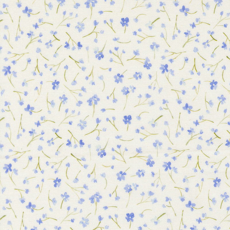 Sweet Cecily - Forget Me Not Hyacinth