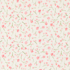 Sweet Cecily - Forget Me Not Rose