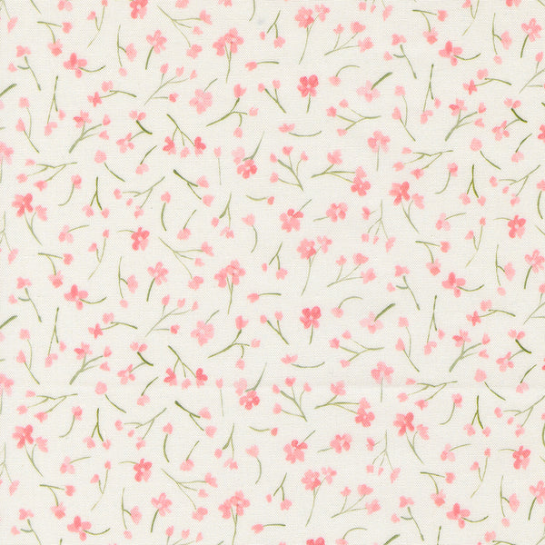 Sweet Cecily - Forget Me Not Rose