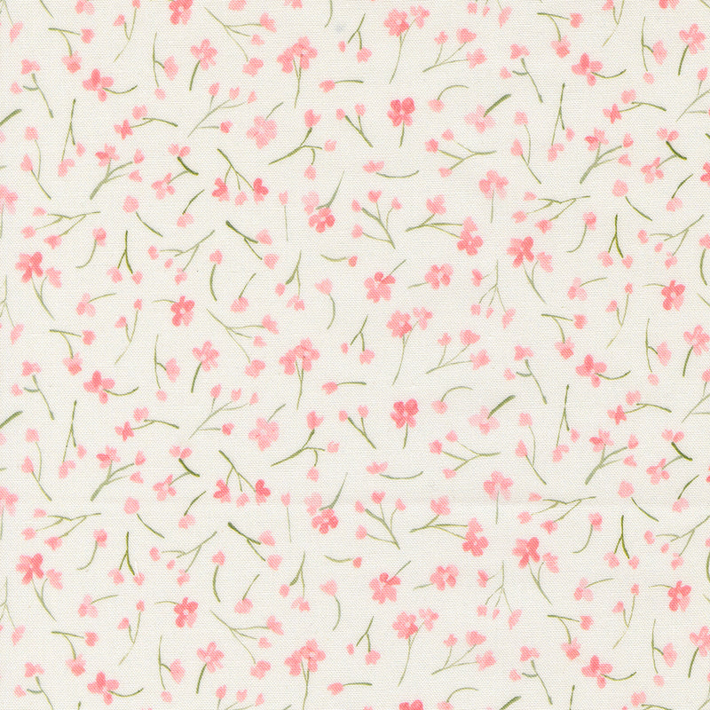Sweet Cecily - Forget Me Not Rose