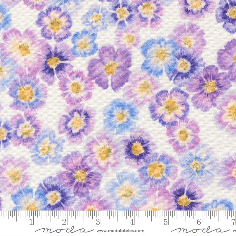 Delphinium - Auricula - Snowdrop