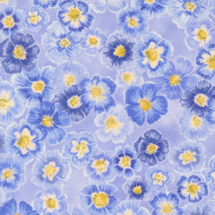 Delphinium - Auricula - Bluebell