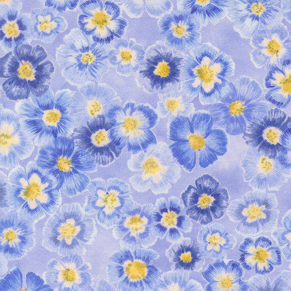 Delphinium - Auricula - Bluebell