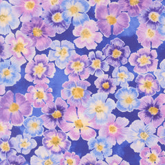 Delphinium - Auricula - Agapanthus