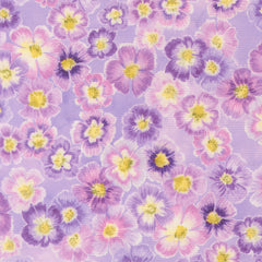Delphinium - Auricula - Mauve