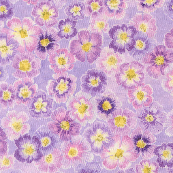 Delphinium - Auricula - Mauve