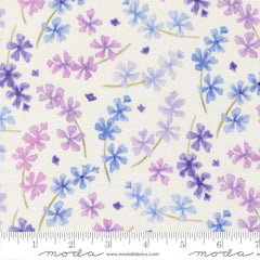 Delphinium - Lilacs - Snowdrop