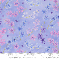 Delphinium - Lilacs - Bluebell