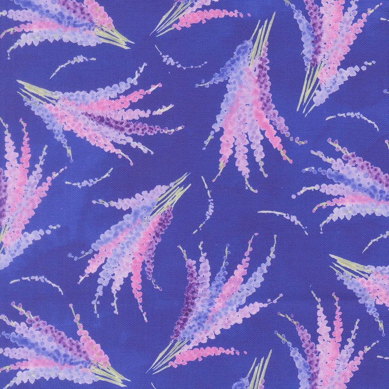 Delphinium - Larkspur - Agapanthus
