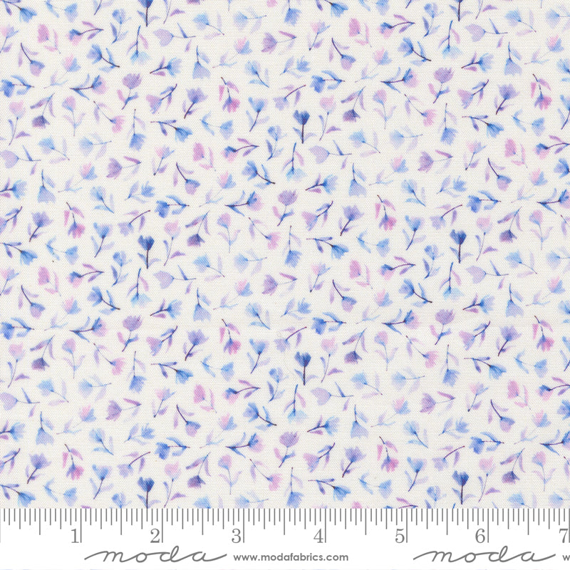 Delphinium - Sea Pink - Snowdrop