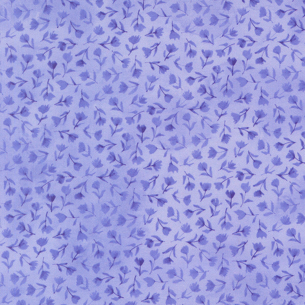 Delphinium - Sea Pink - Bluebell