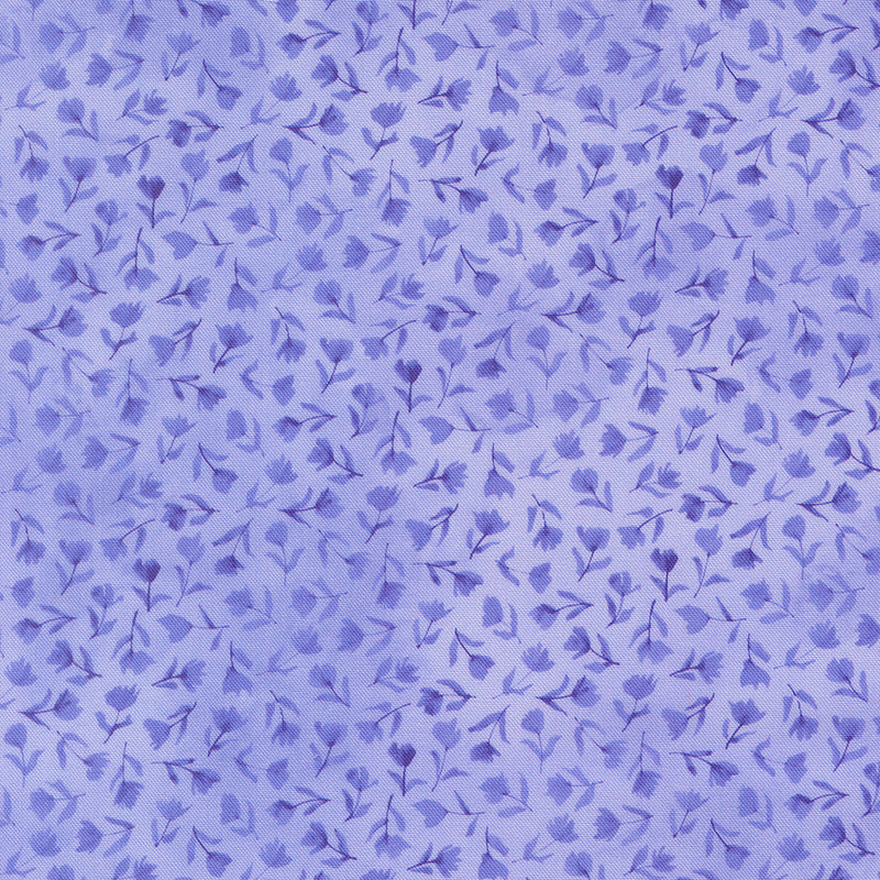 Delphinium - Sea Pink - Bluebell