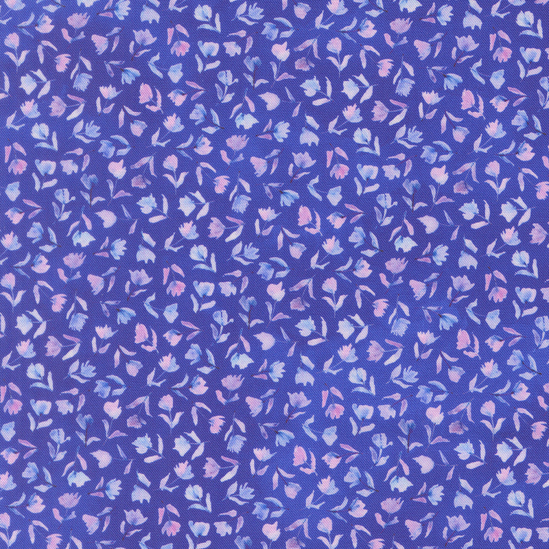 Delphinium - Sea Pink - Agapanthus