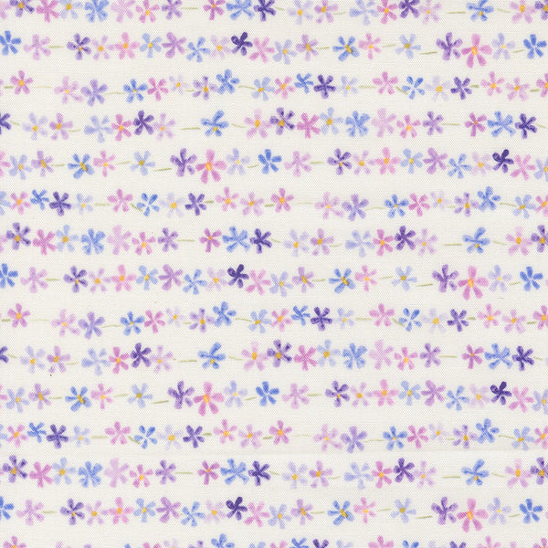 Delphinium - Daisy Chain - Snowdrop