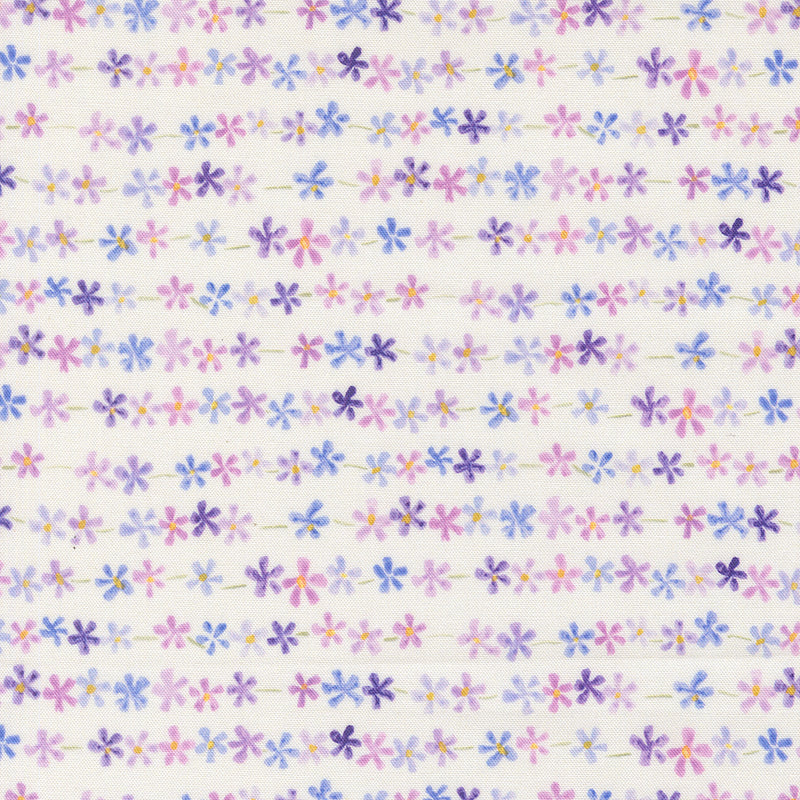 Delphinium - Daisy Chain - Snowdrop