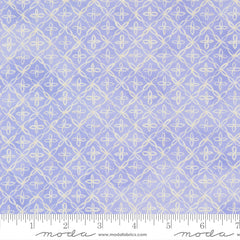Delphinium - Flourish - Lilac
